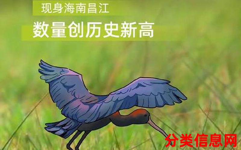 绿色贷款季度增量创新高